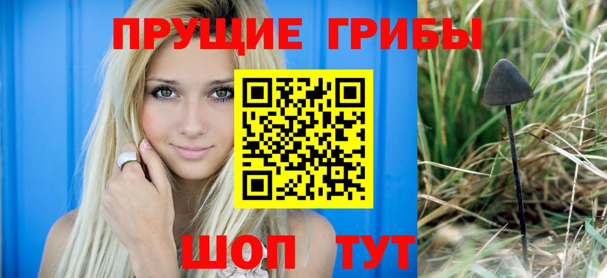 Подольск  Псилоцибиновые грибы Psilocybe  Галлюциногенные грибы Psilocybine cubensis  Вход с VPN 